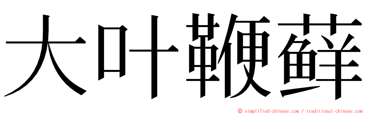 大叶鞭藓 ming font