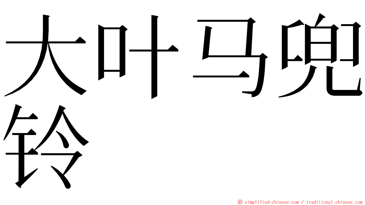 大叶马兜铃 ming font