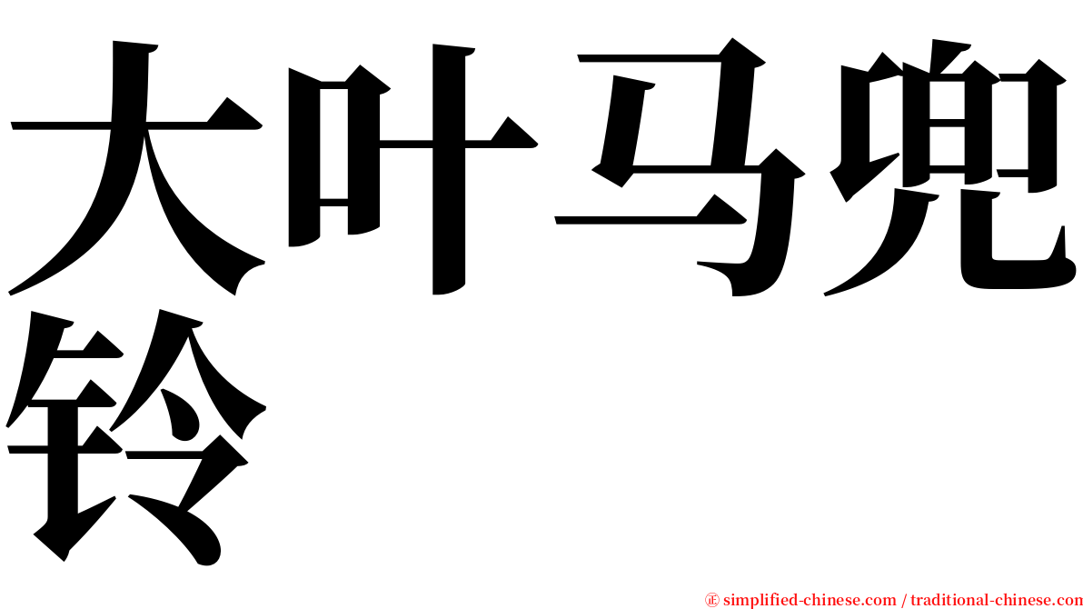 大叶马兜铃 serif font