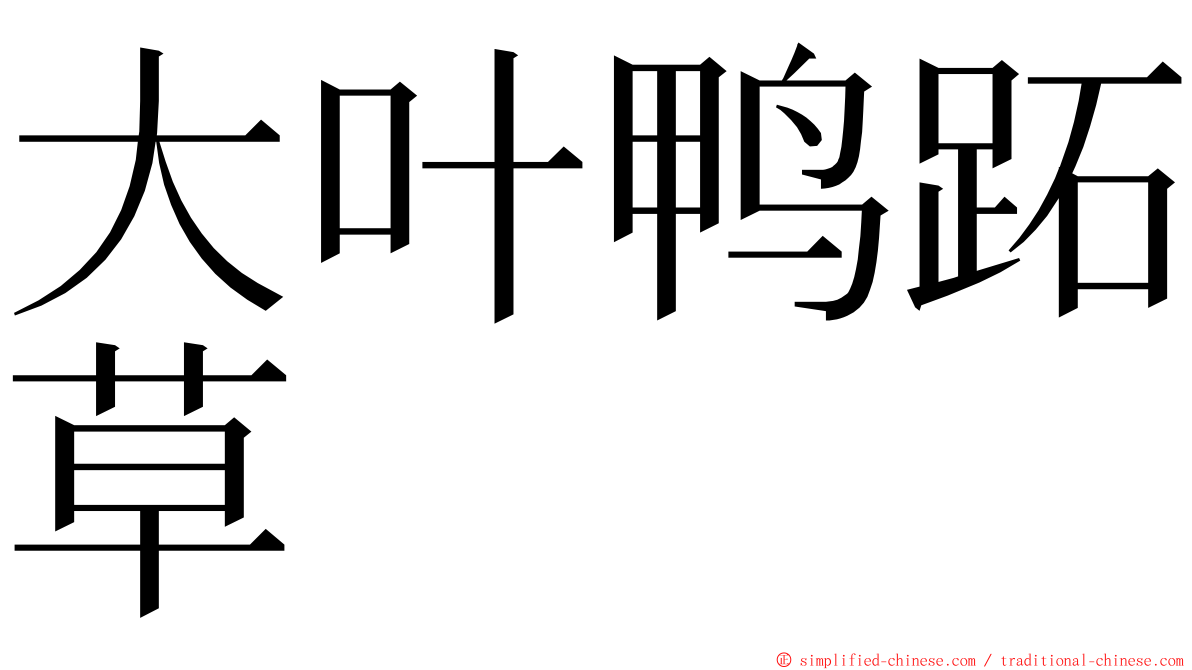 大叶鸭跖草 ming font