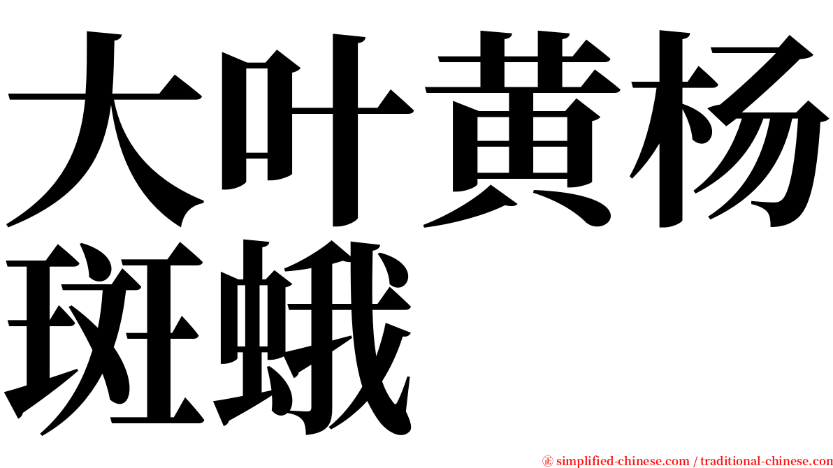 大叶黄杨斑蛾 serif font