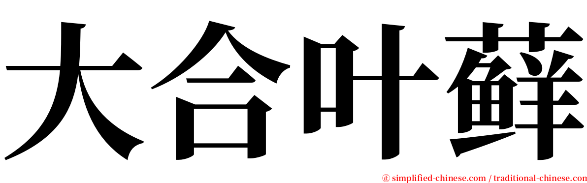 大合叶藓 serif font