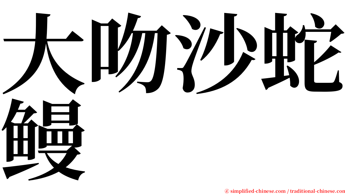 大吻沙蛇鳗 serif font