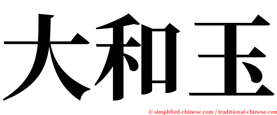 大和玉 serif font