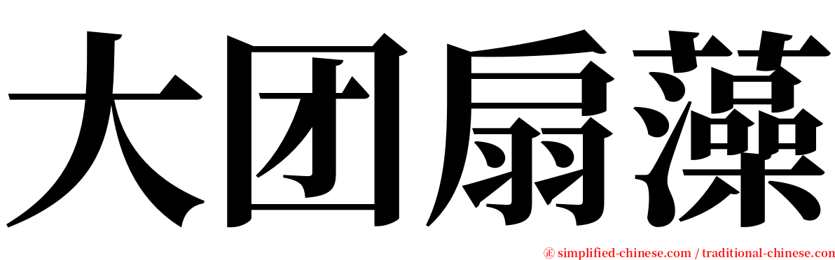 大团扇藻 serif font