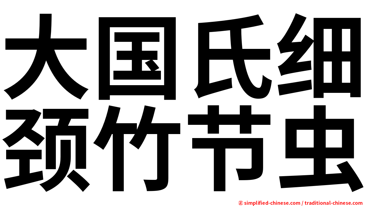 大国氏细颈竹节虫