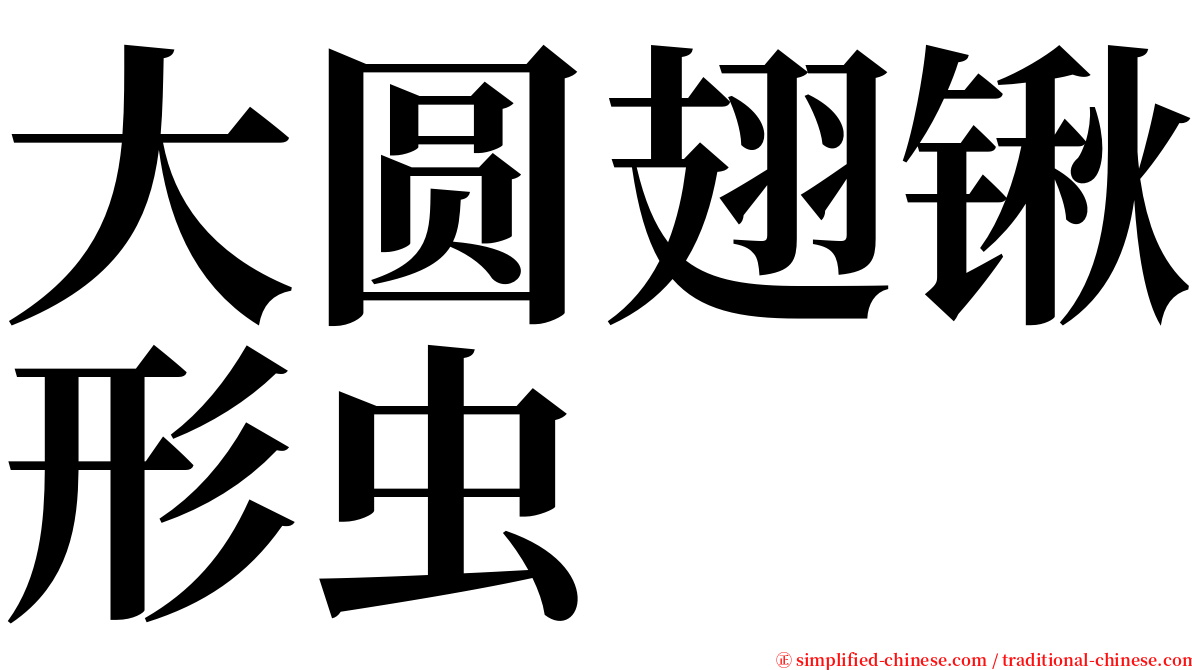 大圆翅锹形虫 serif font