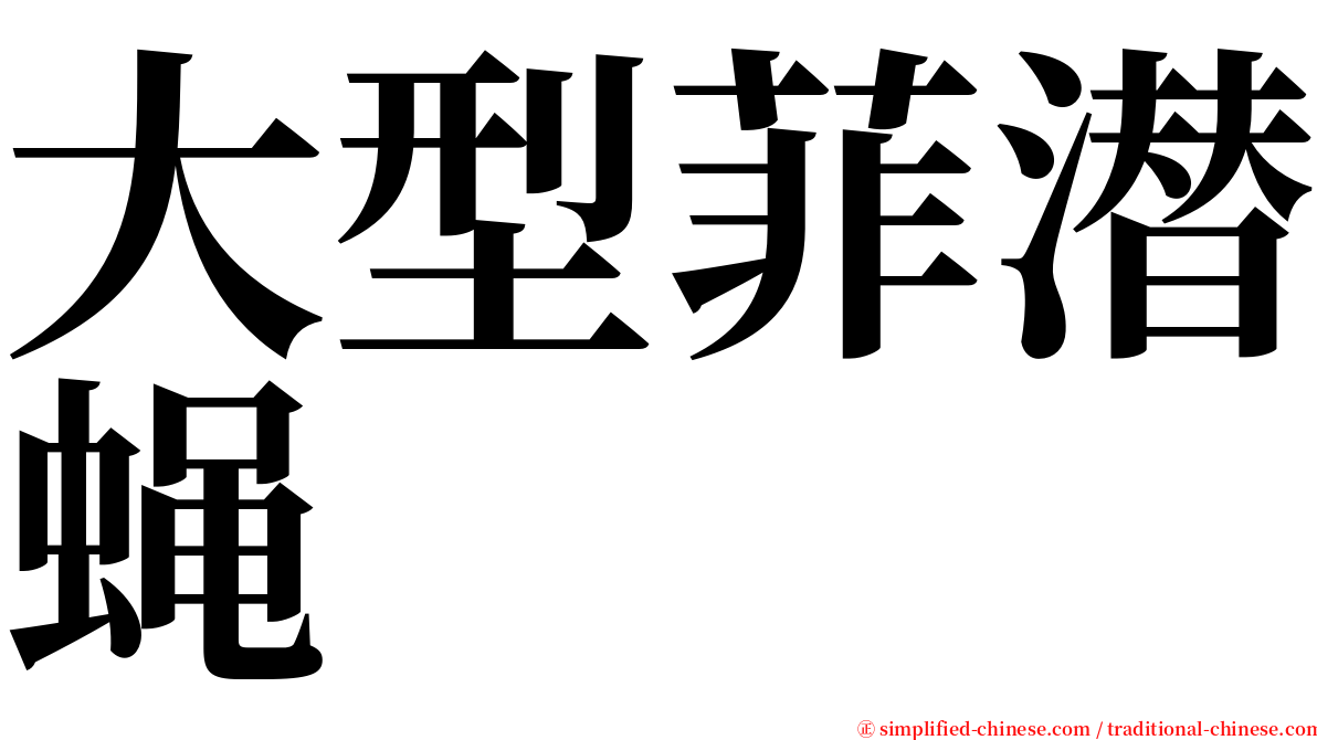 大型菲潜蝇 serif font