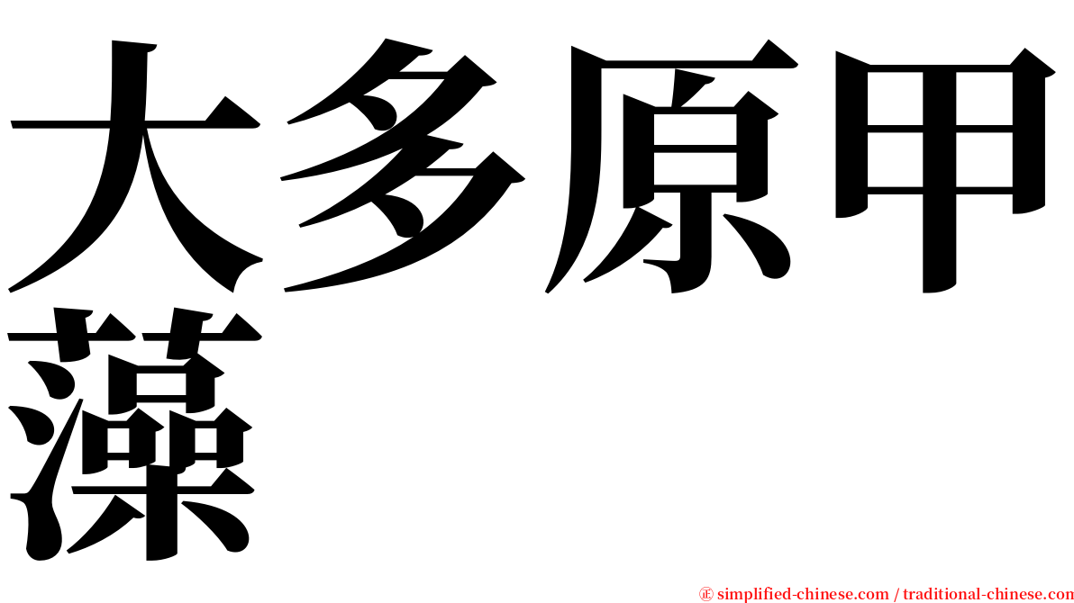 大多原甲藻 serif font