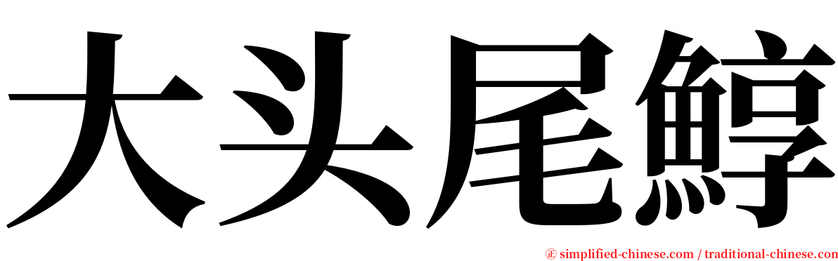 大头尾鯙 serif font