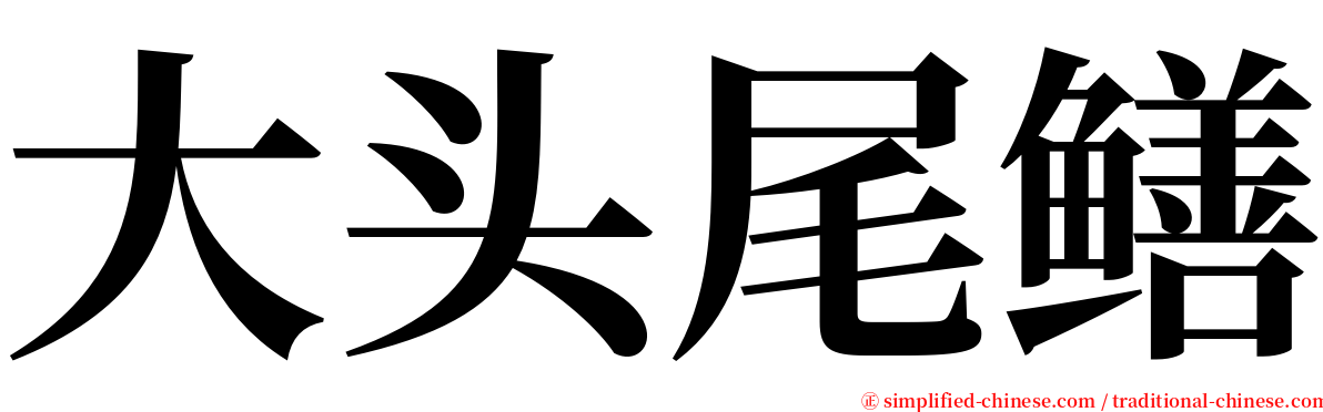 大头尾鳝 serif font