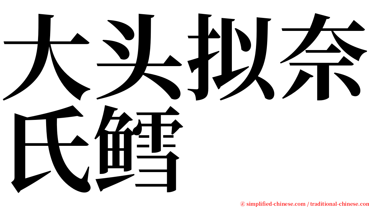 大头拟奈氏鳕 serif font