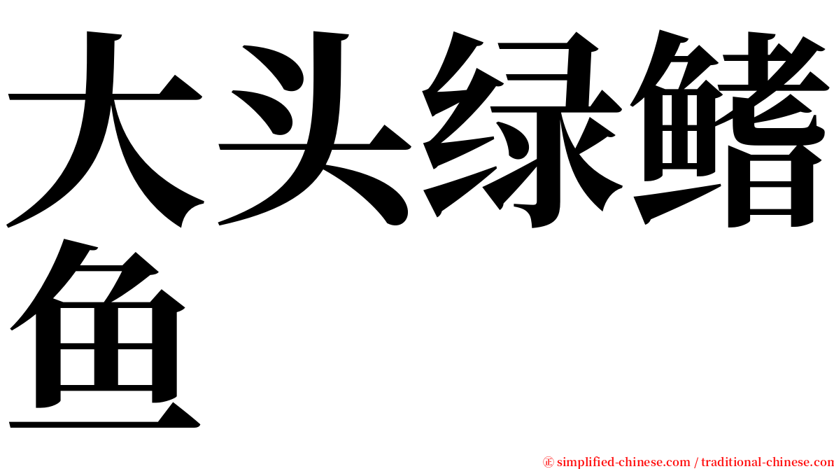 大头绿鳍鱼 serif font