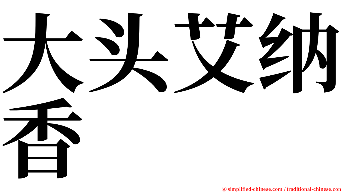 大头艾纳香 serif font