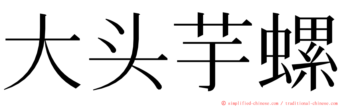 大头芋螺 ming font