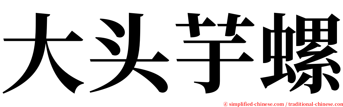 大头芋螺 serif font