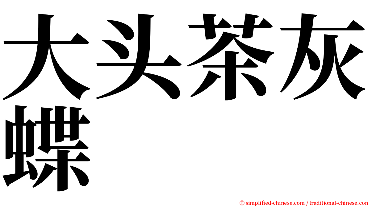 大头茶灰蝶 serif font