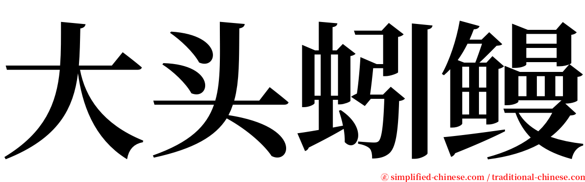 大头蚓鳗 serif font