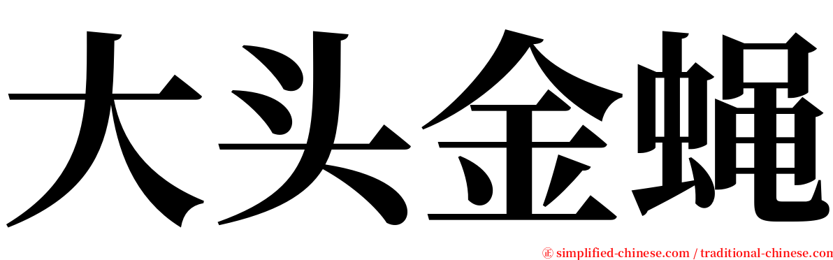 大头金蝇 serif font