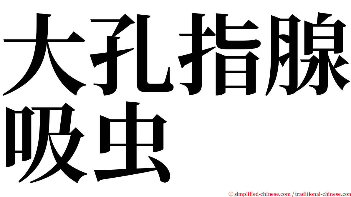 大孔指腺吸虫 serif font