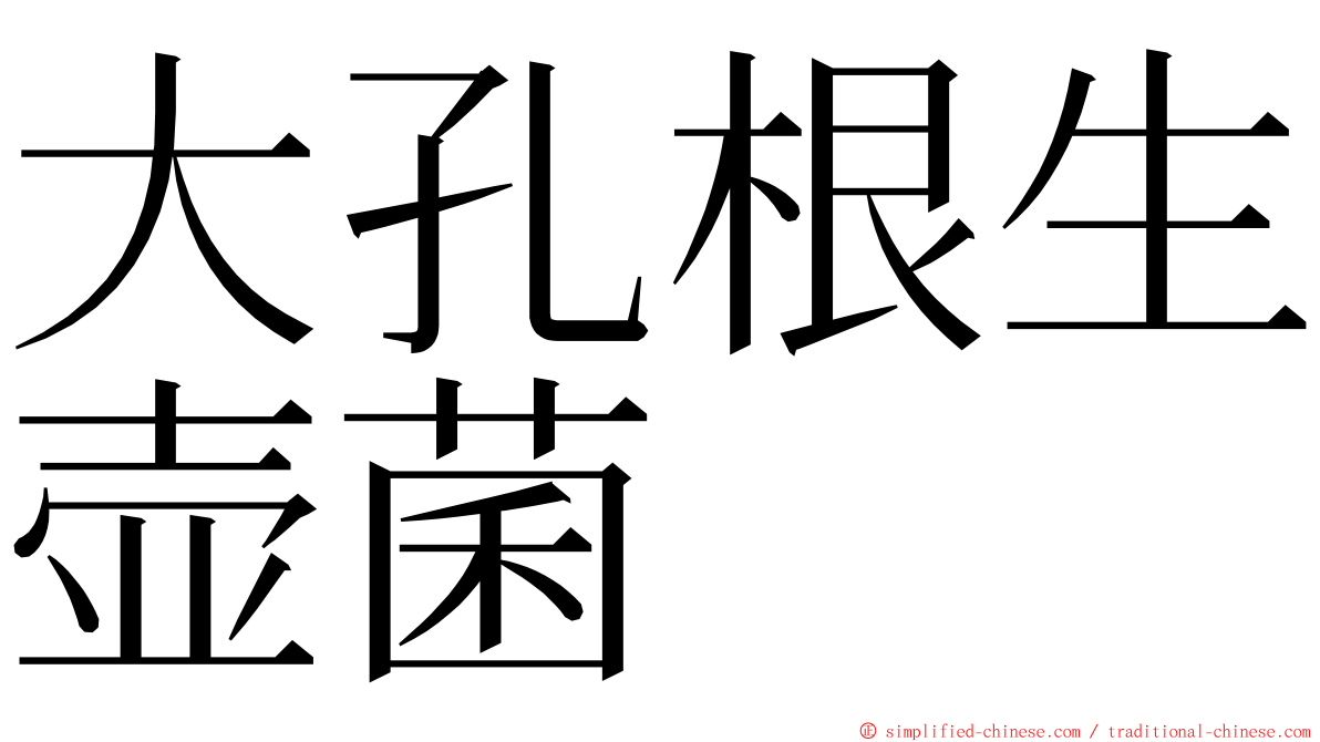 大孔根生壶菌 ming font