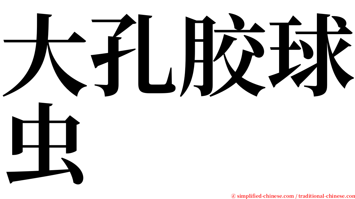 大孔胶球虫 serif font