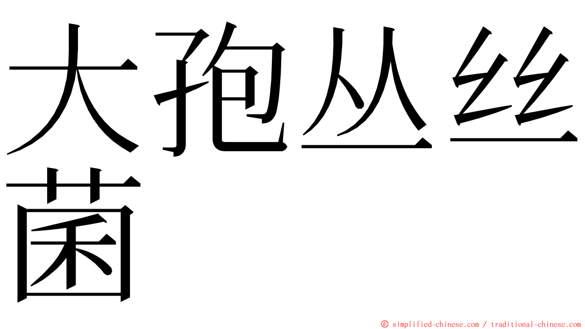 大孢丛丝菌 ming font