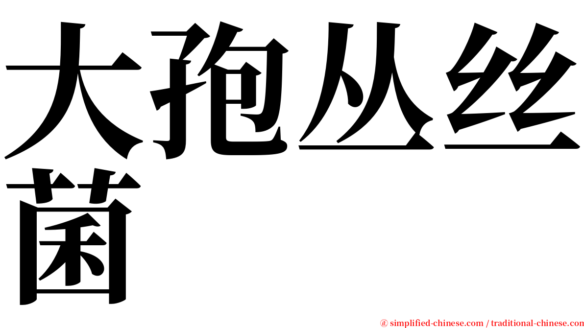 大孢丛丝菌 serif font