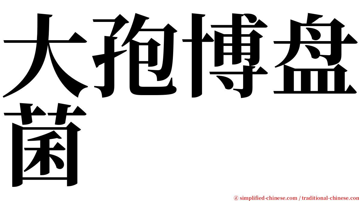 大孢博盘菌 serif font