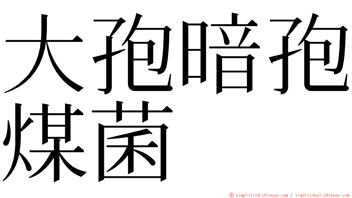 大孢暗孢煤菌 ming font