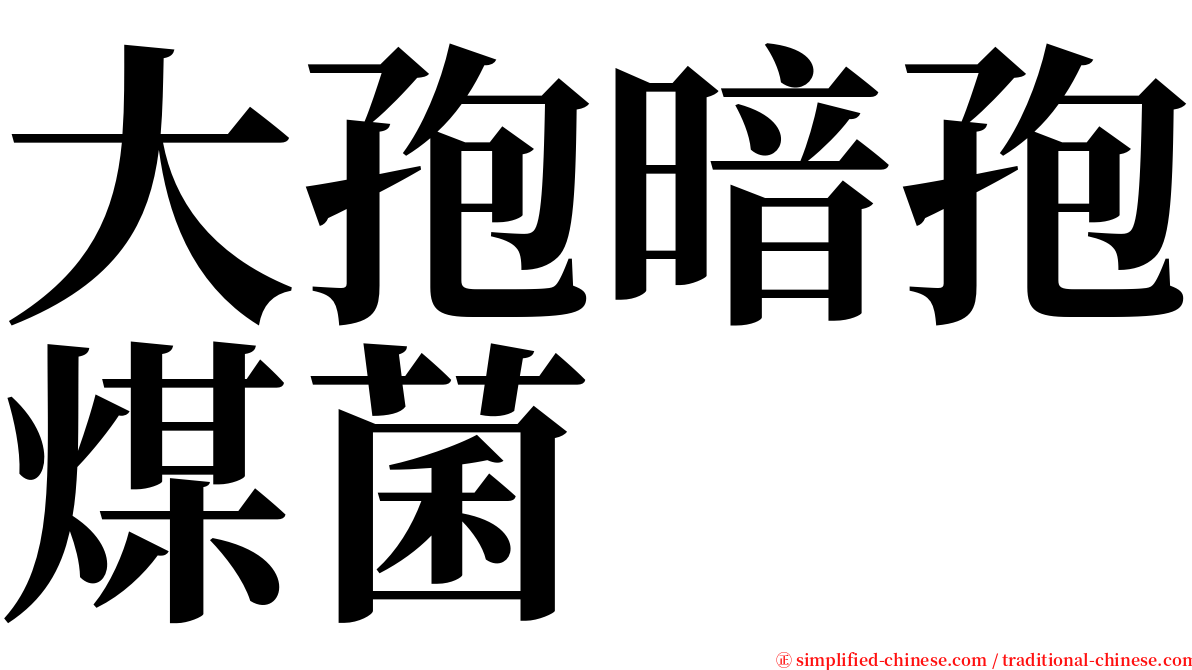 大孢暗孢煤菌 serif font