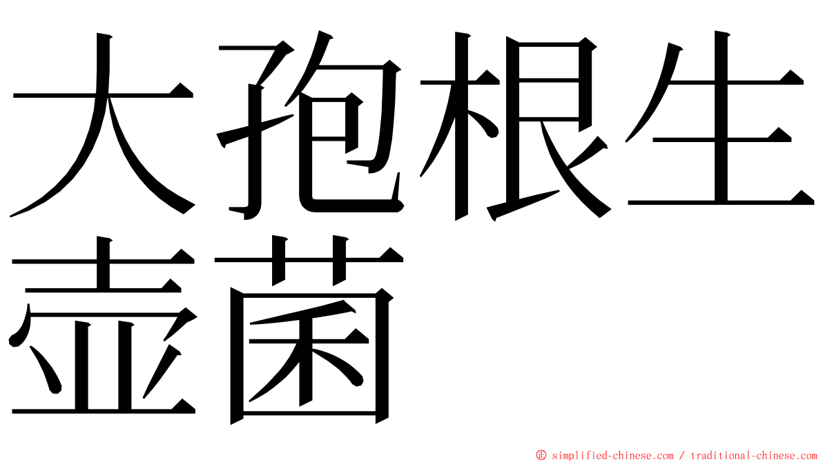 大孢根生壶菌 ming font