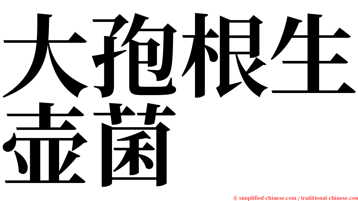 大孢根生壶菌 serif font