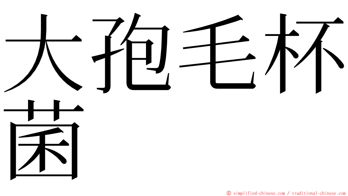 大孢毛杯菌 ming font