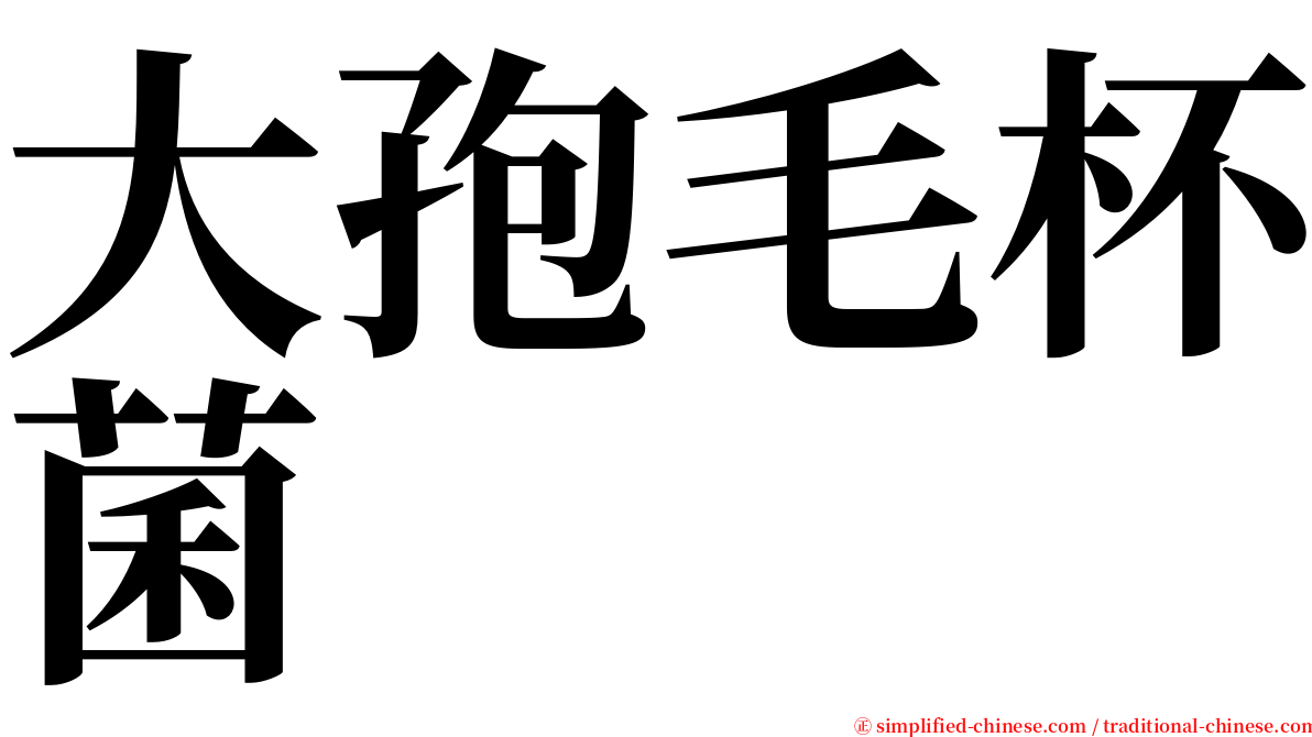 大孢毛杯菌 serif font