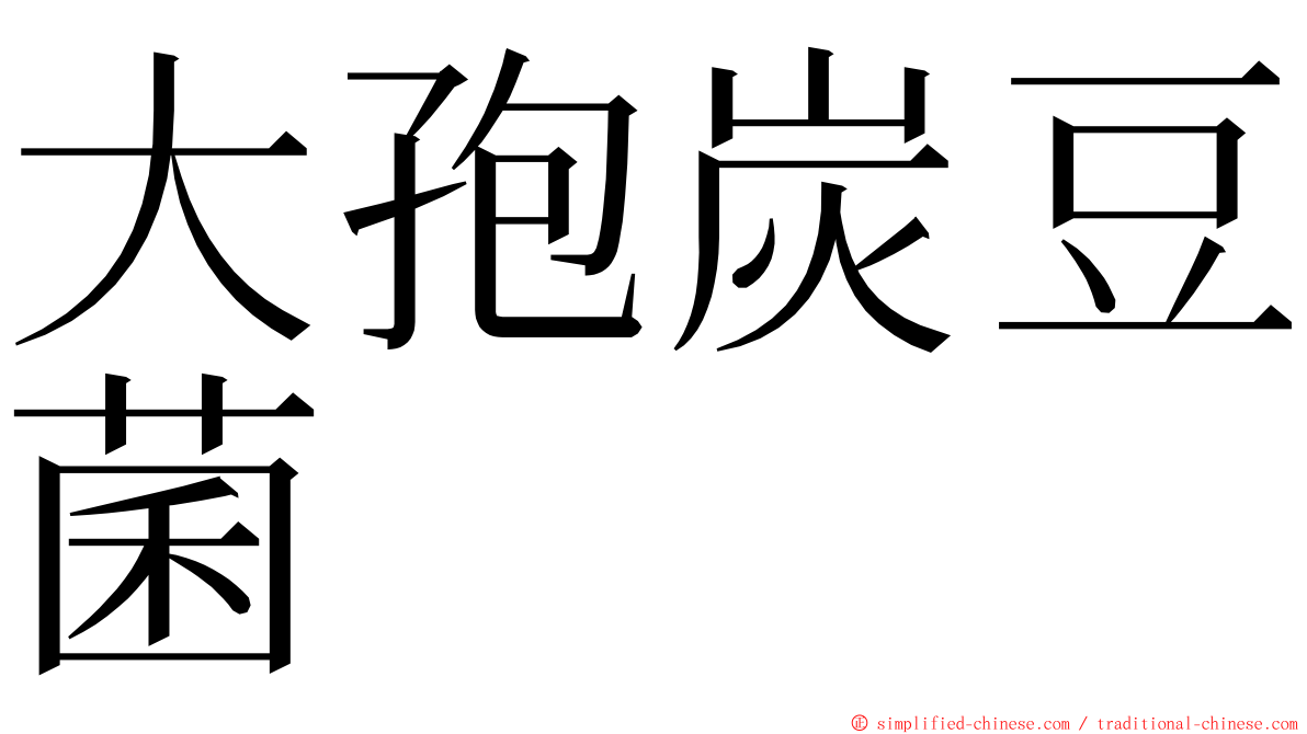 大孢炭豆菌 ming font