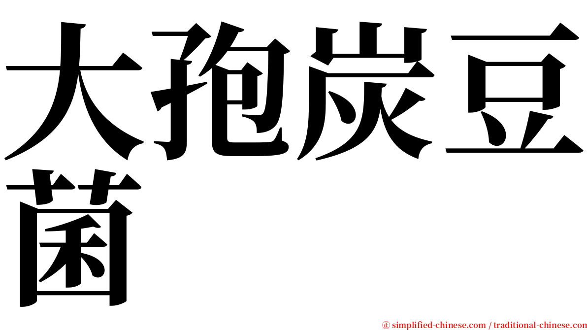 大孢炭豆菌 serif font