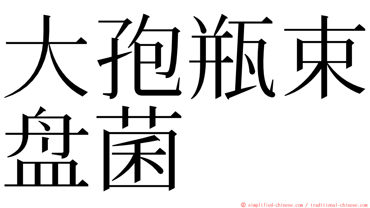 大孢瓶束盘菌 ming font