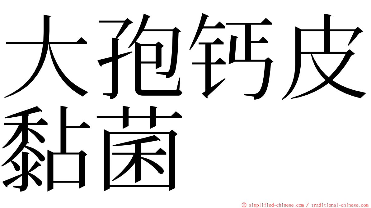 大孢钙皮黏菌 ming font