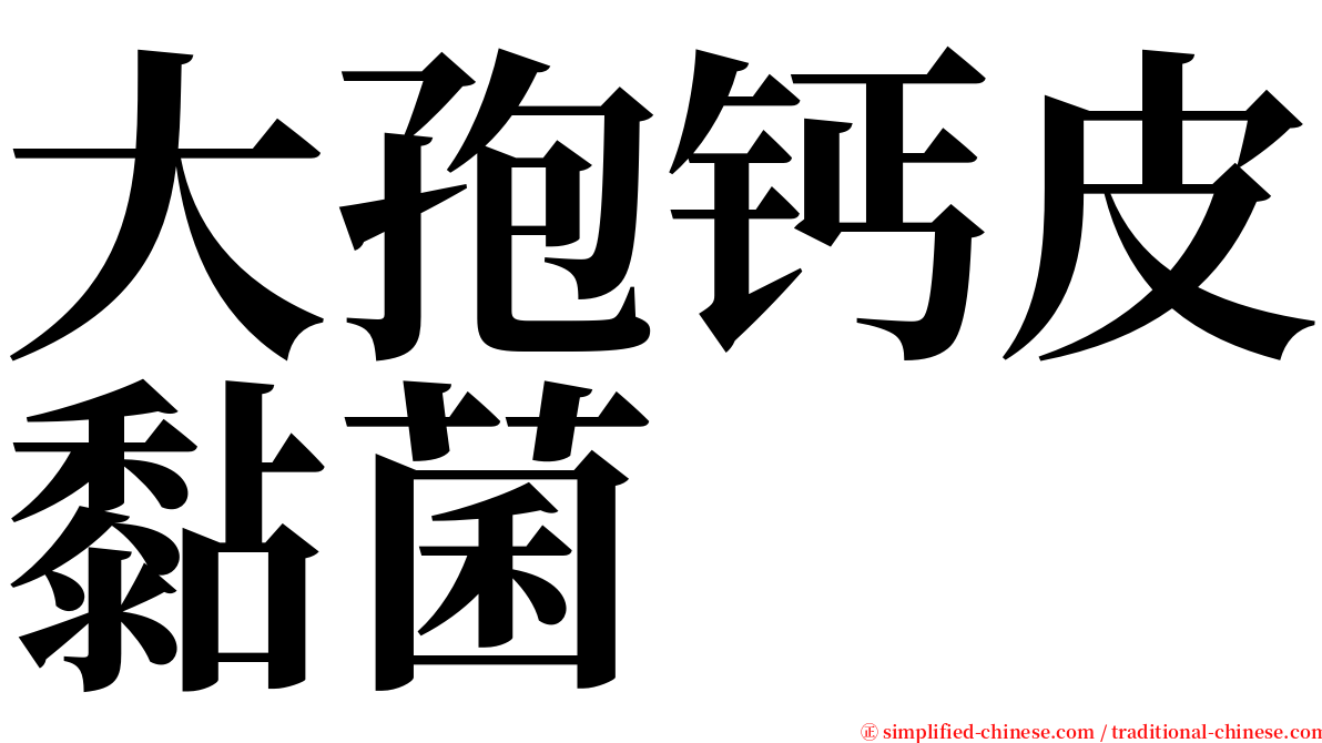 大孢钙皮黏菌 serif font