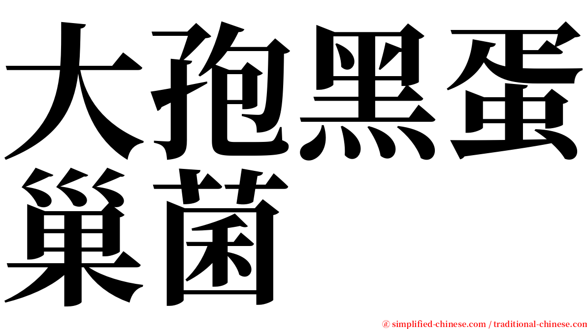 大孢黑蛋巢菌 serif font