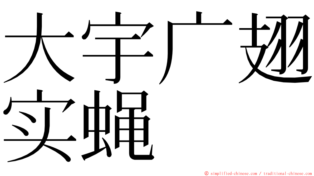 大宇广翅实蝇 ming font