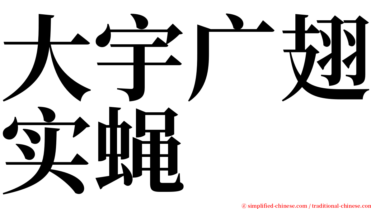 大宇广翅实蝇 serif font