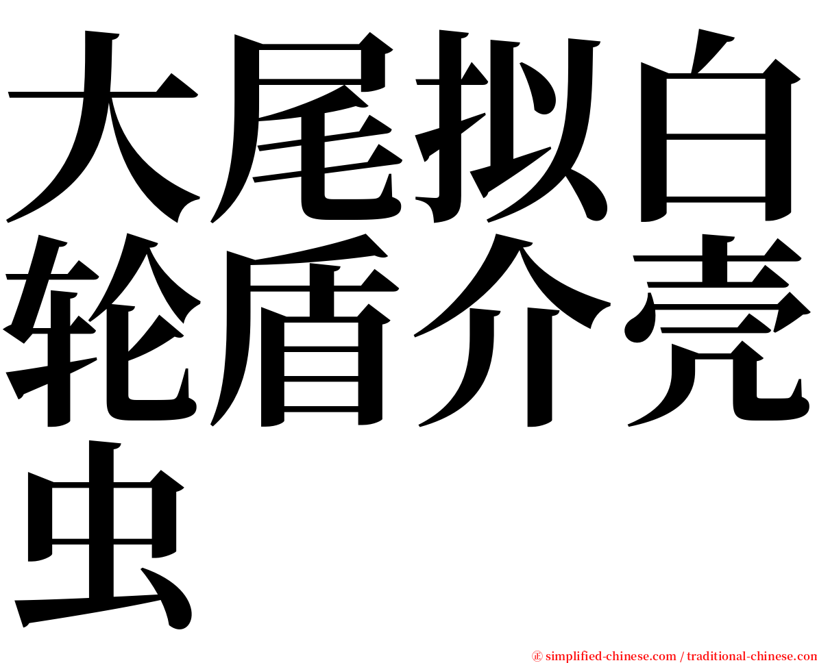 大尾拟白轮盾介壳虫 serif font