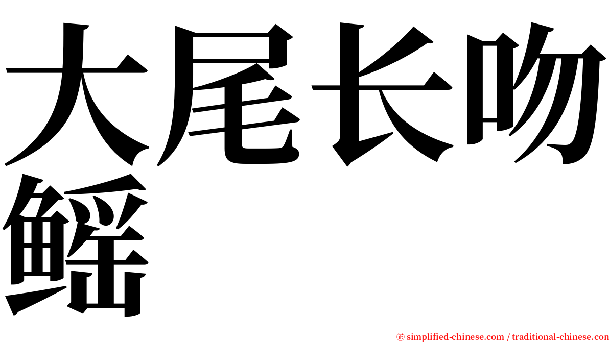 大尾长吻鳐 serif font