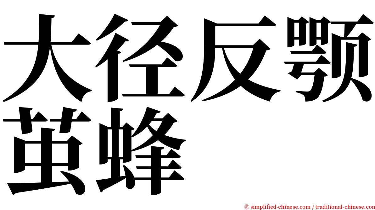 大径反颚茧蜂 serif font