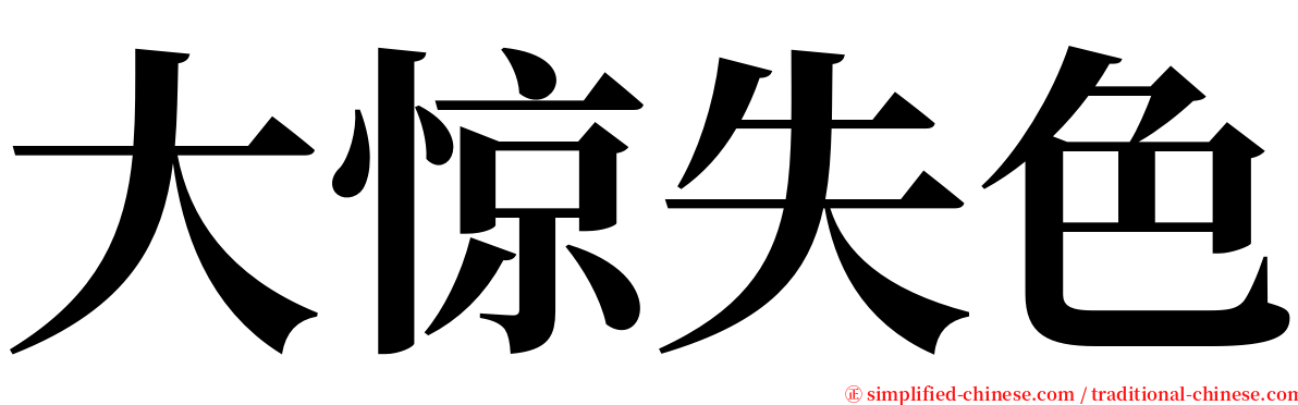 大惊失色 serif font