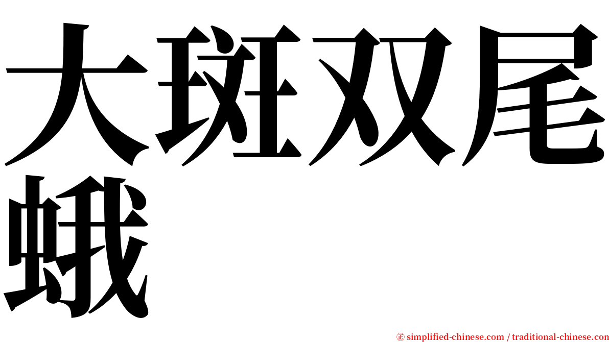 大斑双尾蛾 serif font