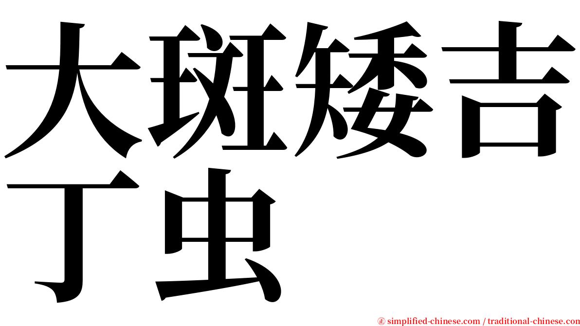 大斑矮吉丁虫 serif font