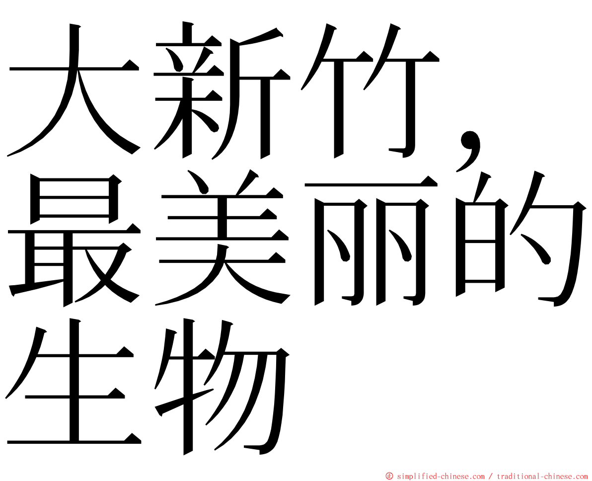 大新竹，最美丽的生物 ming font